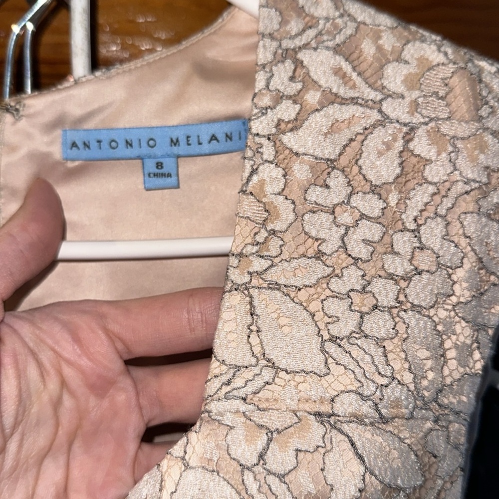 Antonio Melani Bardo cream lace dress. NWT size 8 - Picture 7 of 11